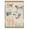 Kitchen Cattle Breeds (Races Bovines) French Jacquard Dish Towel By Coucke